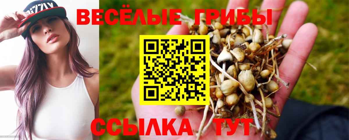 Псилоцибиновые грибы Psilocybine cubensis  наркота  Сунжа  Вход с VPN 